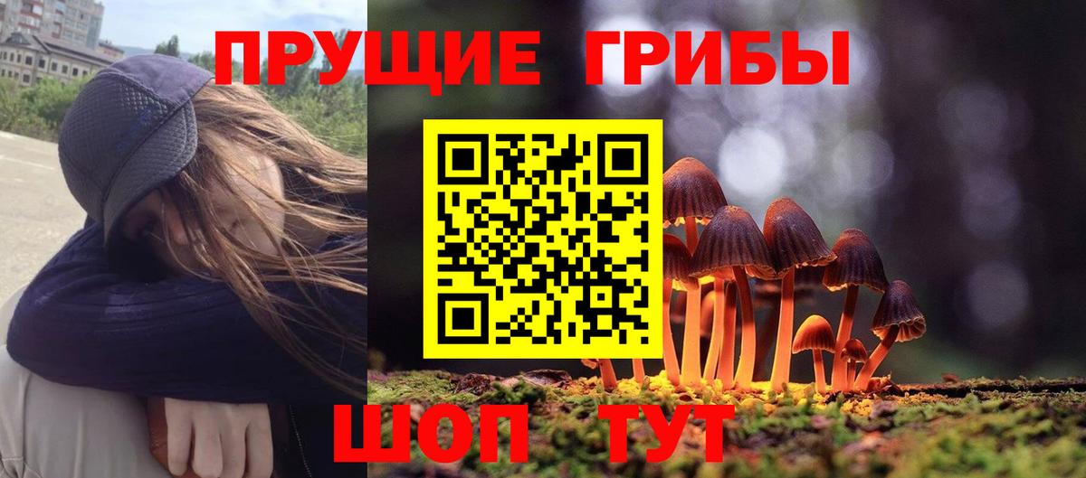 Галлюциногенные грибы Cubensis Алексин